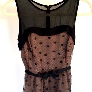 Eva Franco polka dot dress